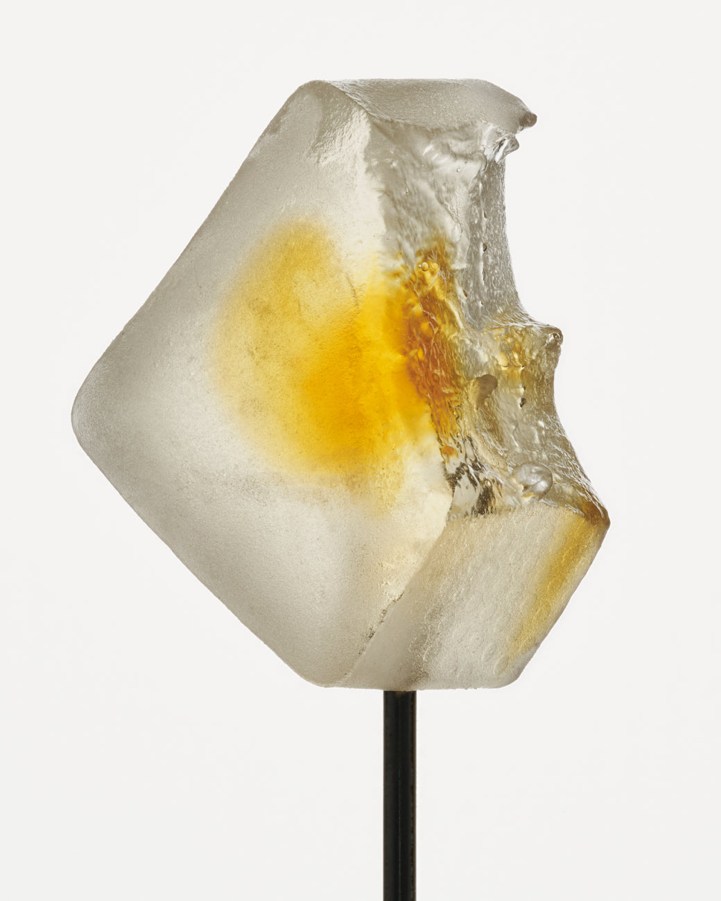 Mini Focus Mushroom Gummy Delights