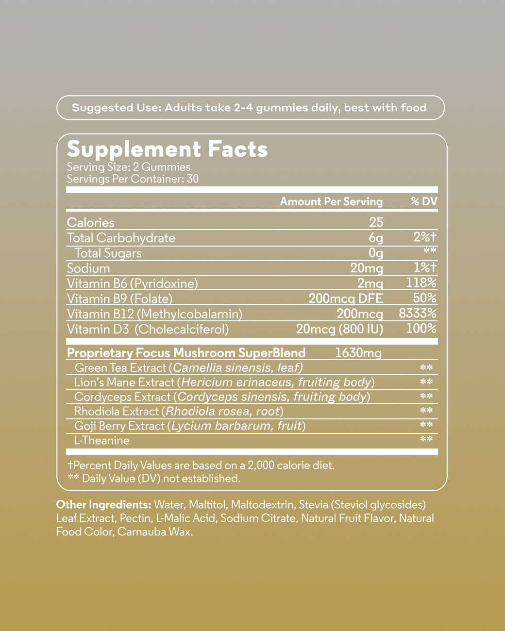 Mini Focus Mushroom Gummy Delights