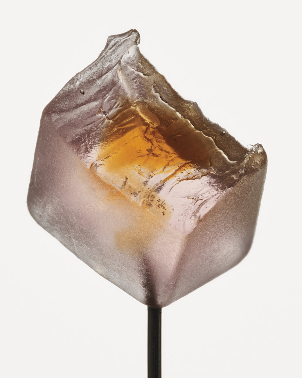 Mini Sleep Mushroom Gummy Delights