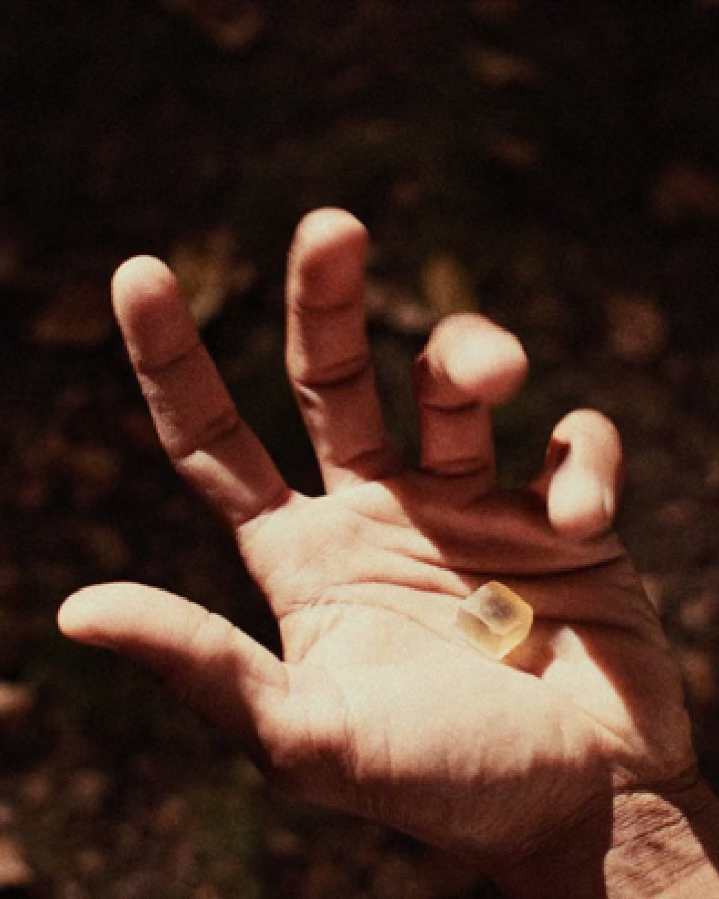 Mini Sleep Mushroom Gummy Delights